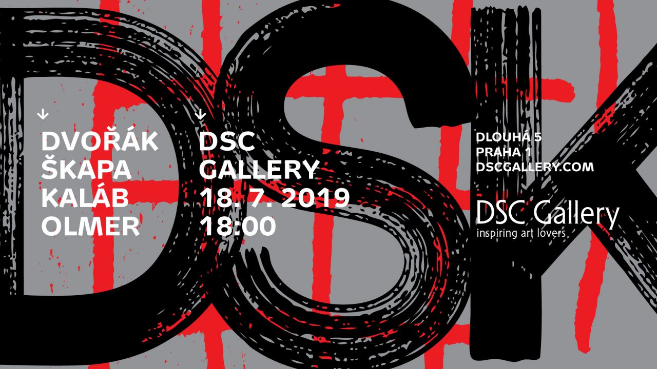 DSK v DSC Gallery