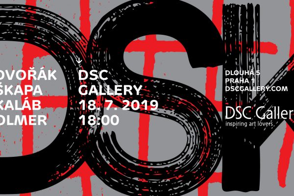 DSK v DSC Gallery