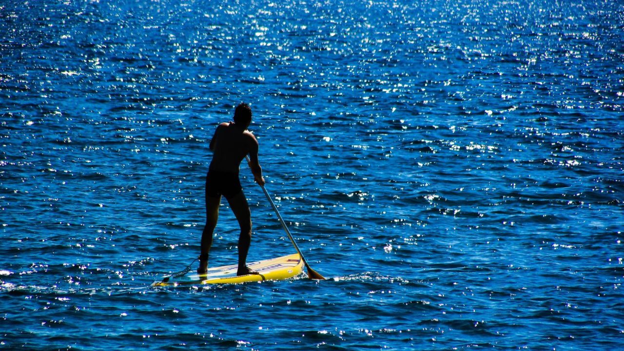 paddleboard