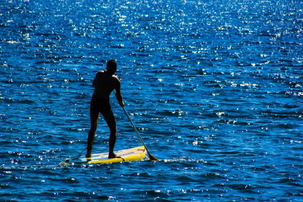 paddleboard