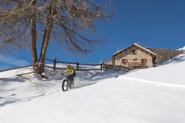 fatbike