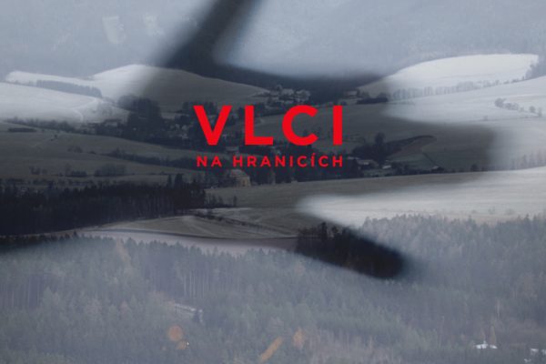 Vlci na hranicích